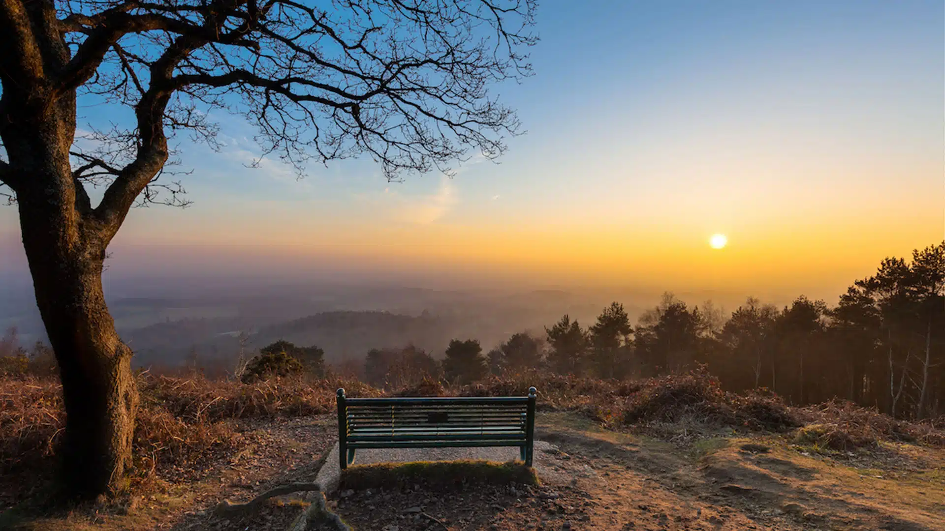 Surrey-Hills-AONB-Featured